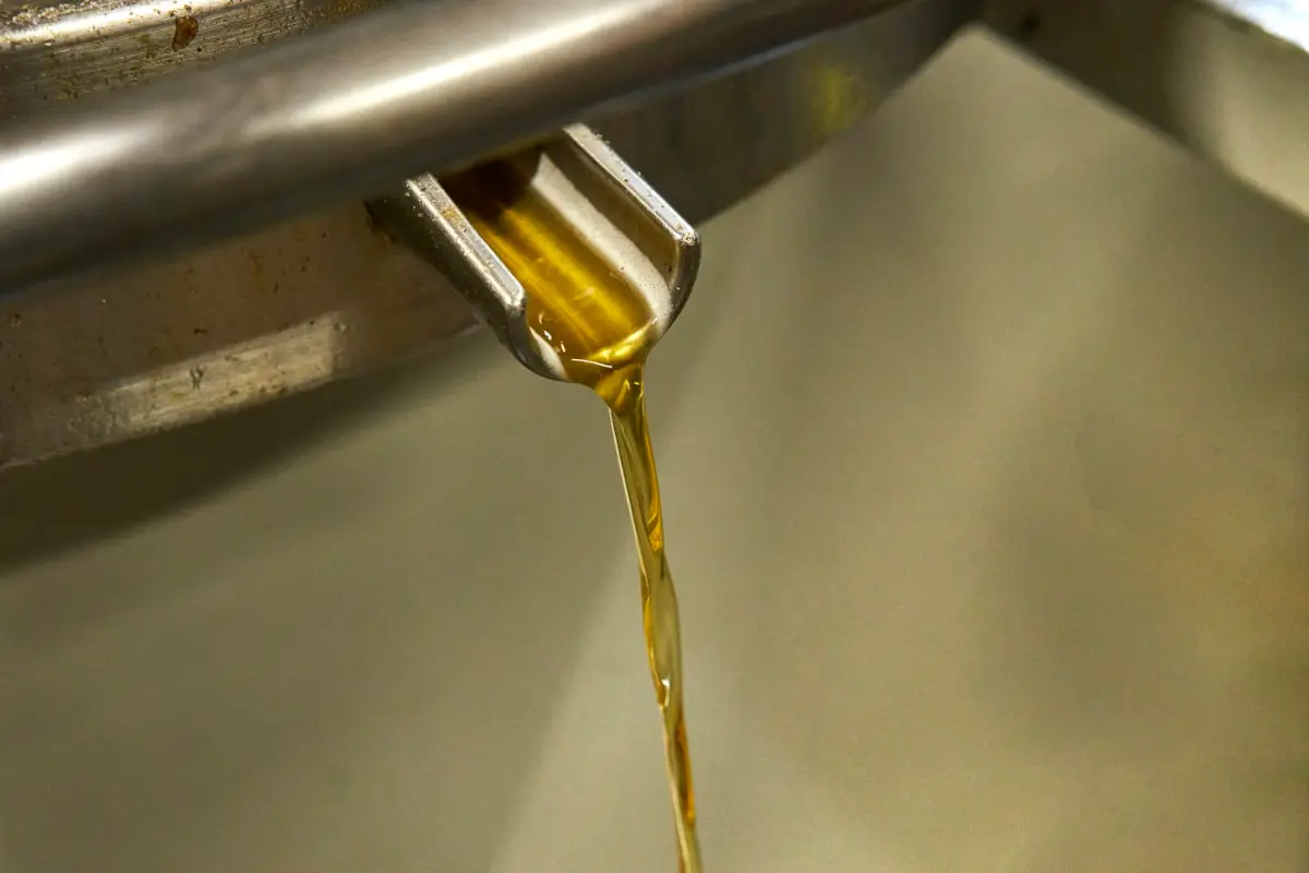 Aceites y grasas